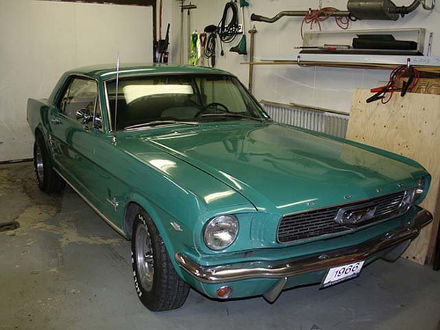 1966-mustang-high-country-special-medium-3012607639
